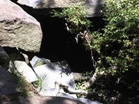 rrente Quarantore-20110911 091